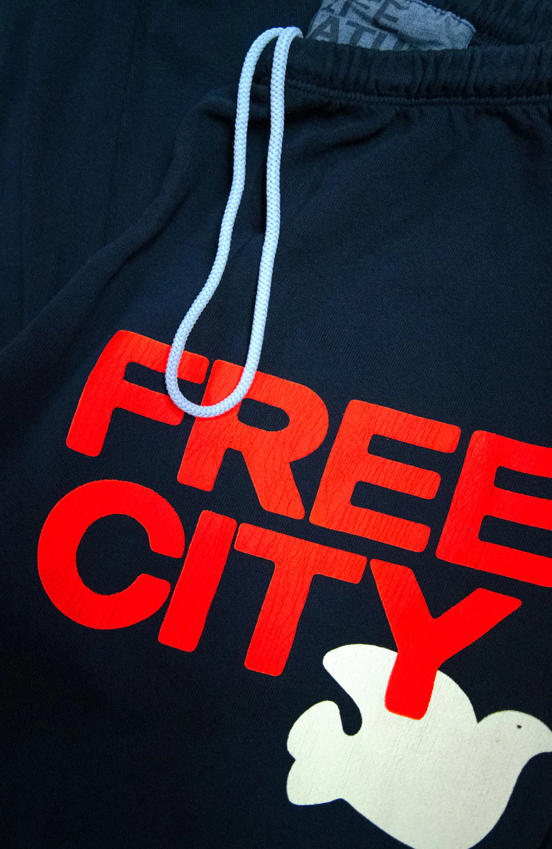 FREECITY sweatpant - squidsink electric