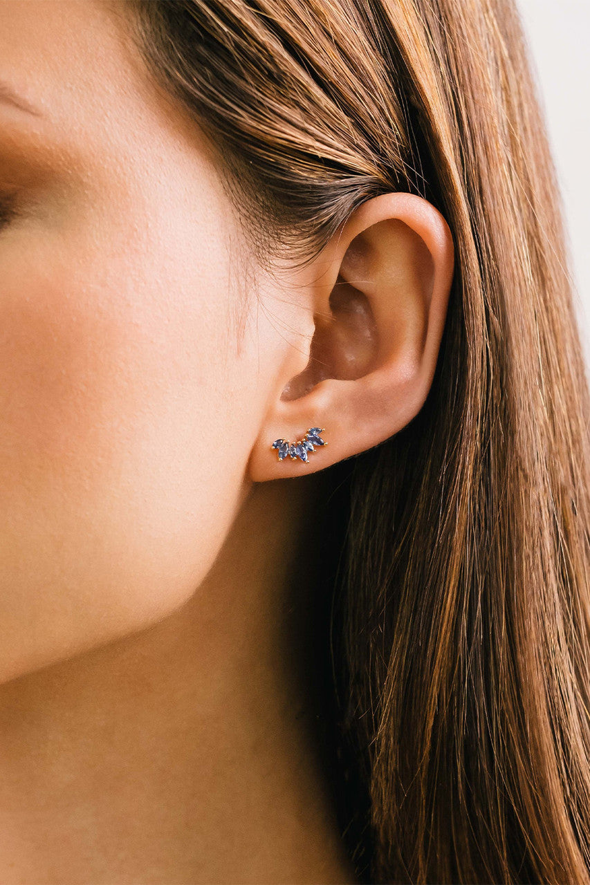 Crown Climber Earrings in Royal